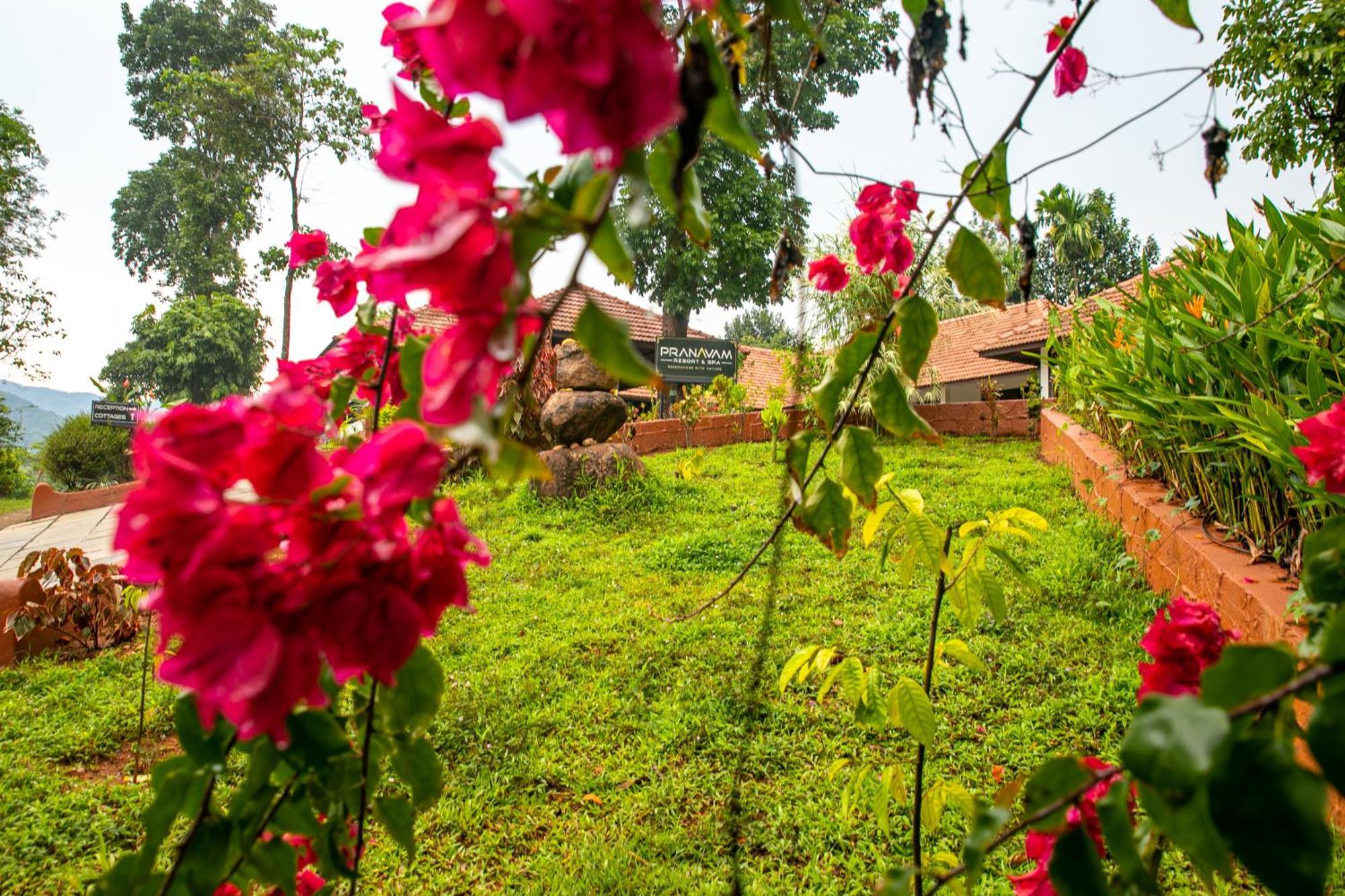 Pranavam Resort & Spa Tariyod 외부 사진
